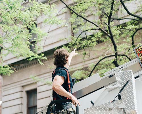 Columbia Pro Tree Service Image